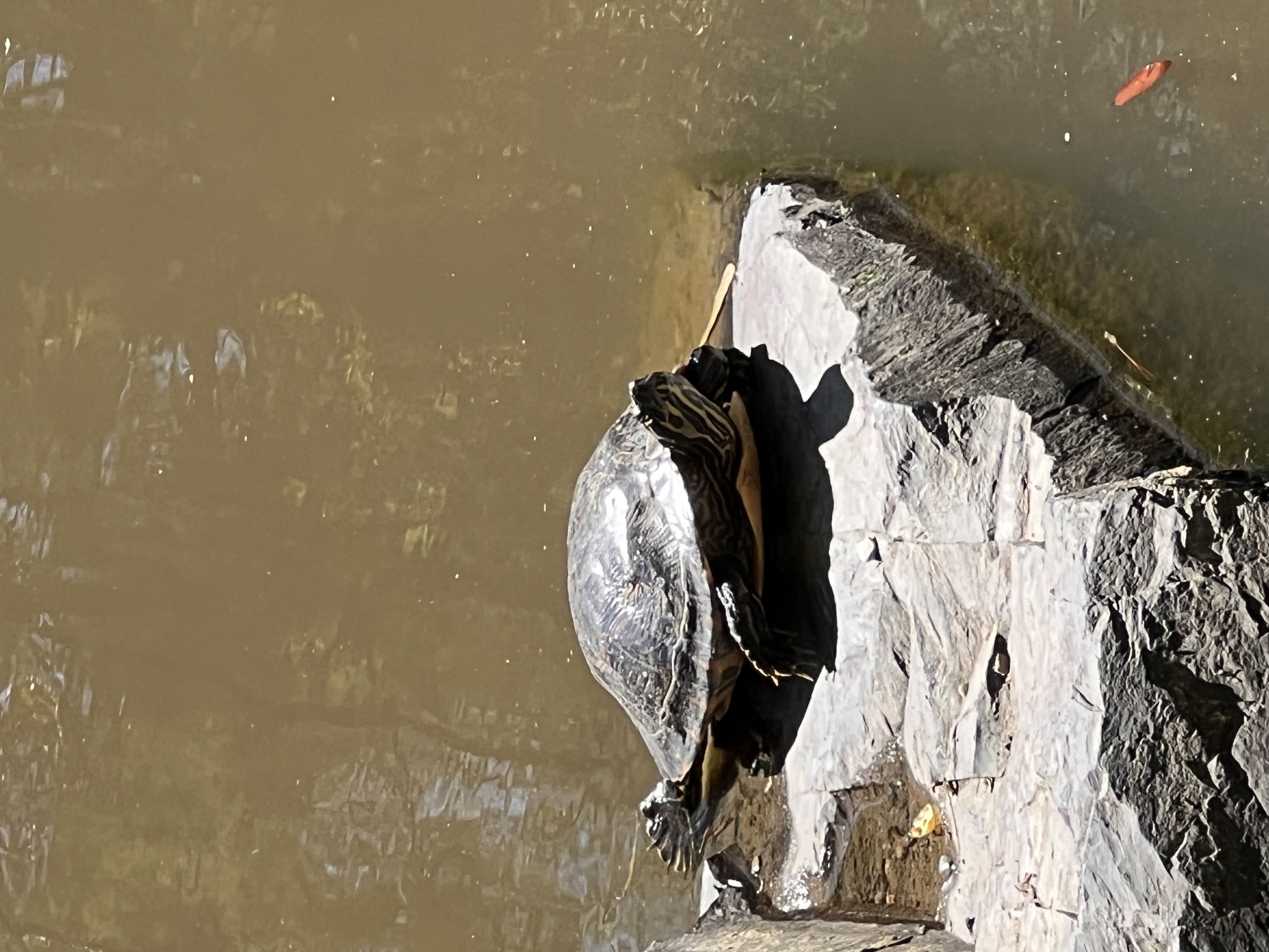 ./2023/05 - Toni Adventures/IMG_3157.JPG